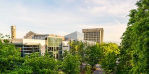 Boyer Prize Awarded to Miriam Matejova, Stefan Parker and Peter Dauvergne