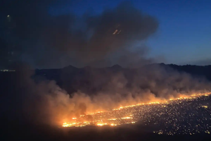 Prof. Peter Dauvergne on his approach to the Climate Crisis